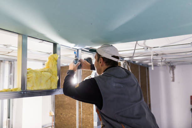Best Soundproof Insulation Installation  in Emsworth, PA