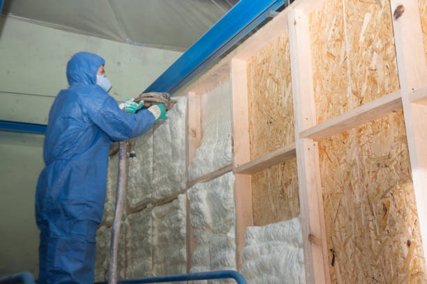 Best Affordable Insulation Services  in Emsworth, PA
