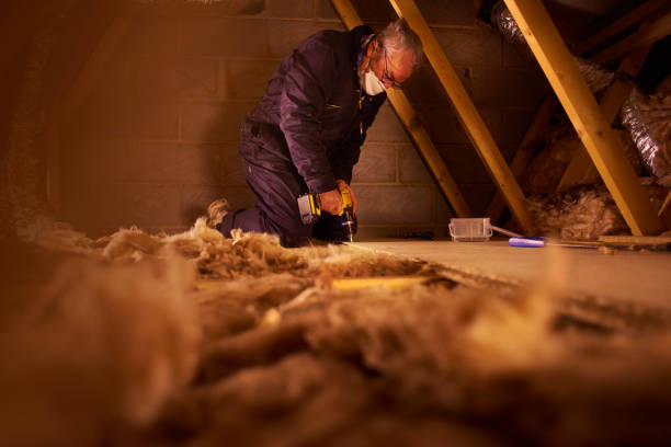 Best Insulation Replacement Services  in Emsworth, PA